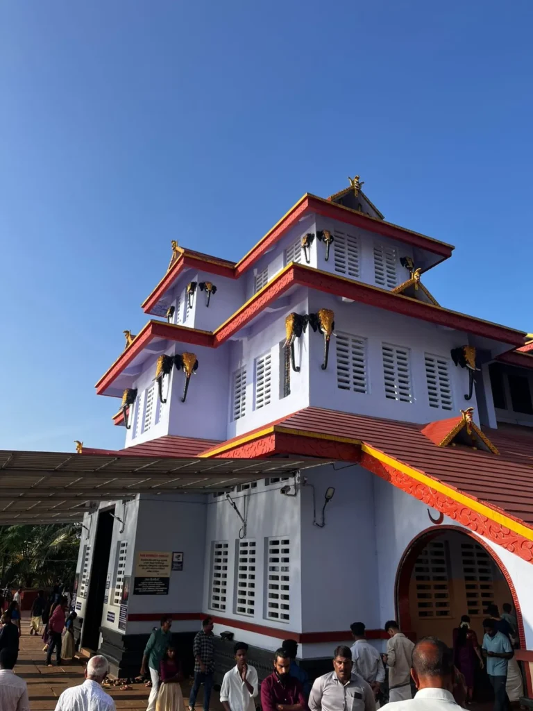 parassini exterior view